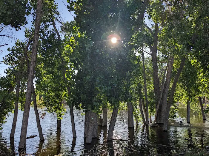 Steinaker State Park Group Campground Picture 5