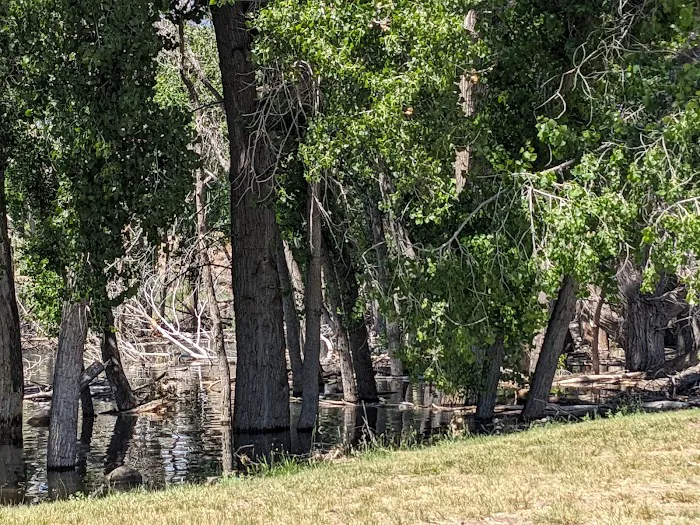 Steinaker State Park Group Campground Picture 6
