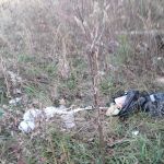 Clover Meadow Manufactued Home Community