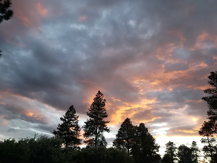 Greendale Campground Picture 5