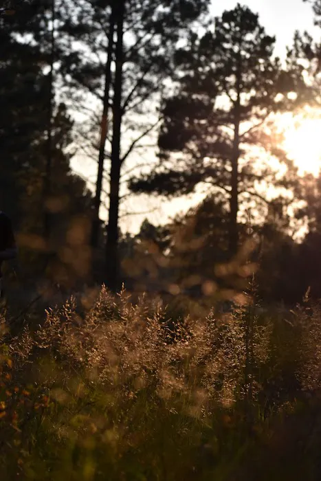 Greendale Campground Picture 8