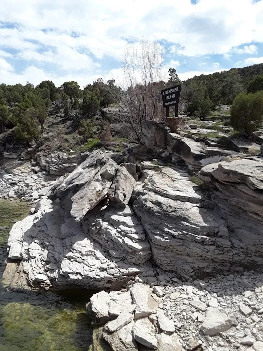 Kingfisher Island Campground Picture 5