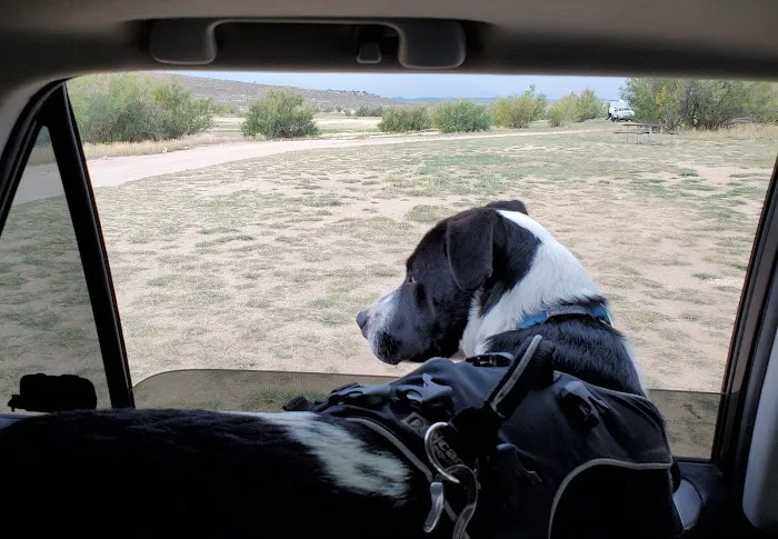 Stateline Cove Campground Picture 10