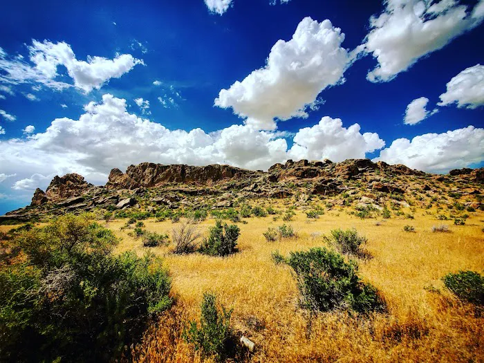 Stateline Cove Campground Picture 3