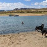 Stateline Cove Campground