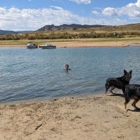 Stateline Cove Campground ico