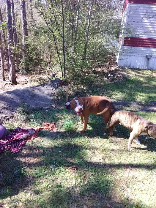 Glennville Trailer Park Picture 5