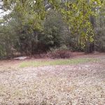 Glennville Trailer Park