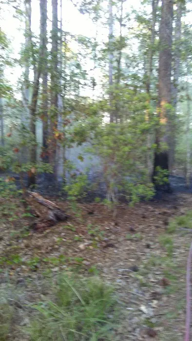 Glennville Trailer Park Picture 2