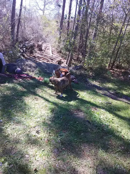 Glennville Trailer Park Picture 7