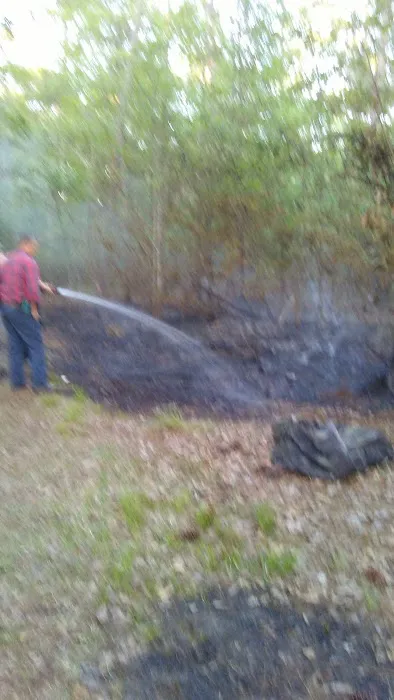 Glennville Trailer Park Picture 4