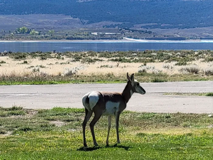 Lucerne Campground Picture 9