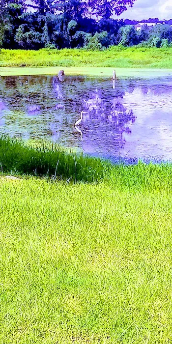 Blockers Mobile Park Picture 7