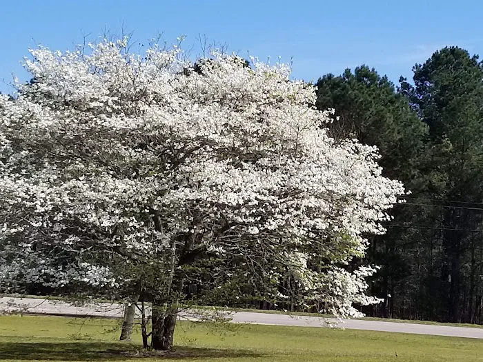 Caldwell's Trailer Court Picture 7