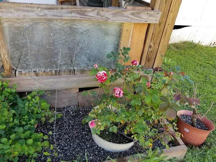 Caldwell's Trailer Court Picture 10