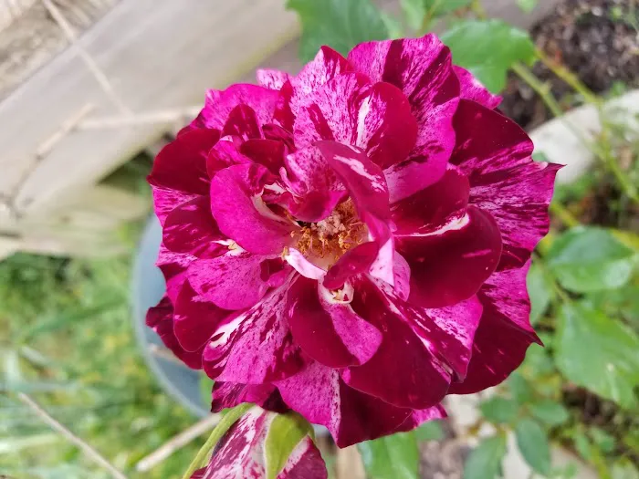 Caldwell's Trailer Court Picture 5