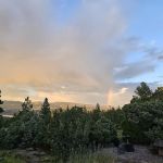 Firefighters Memorial Campground