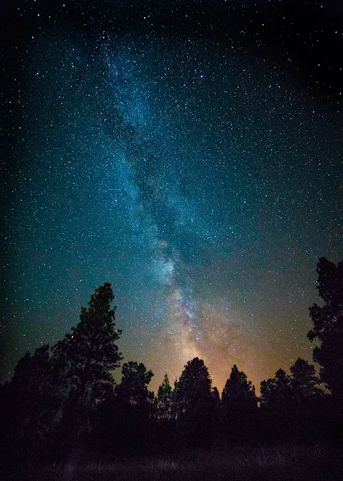 Firefighters Memorial Campground Picture 6