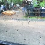 Acres of Shade Mobile Home Est