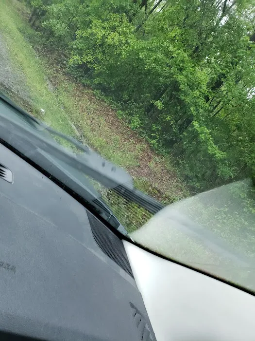 Acres of Shade Mobile Home Est Picture 5