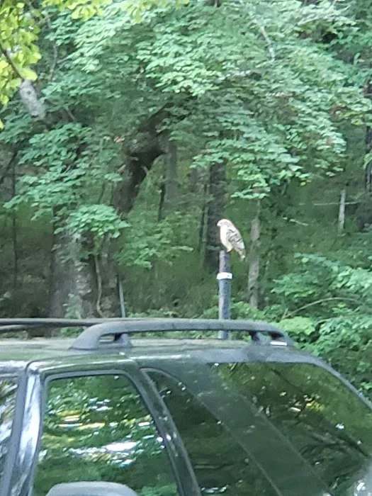 Acres of Shade Mobile Home Est Picture 3