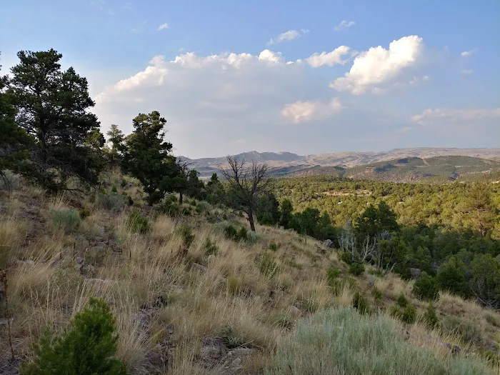 Deer Run Campground Picture 10