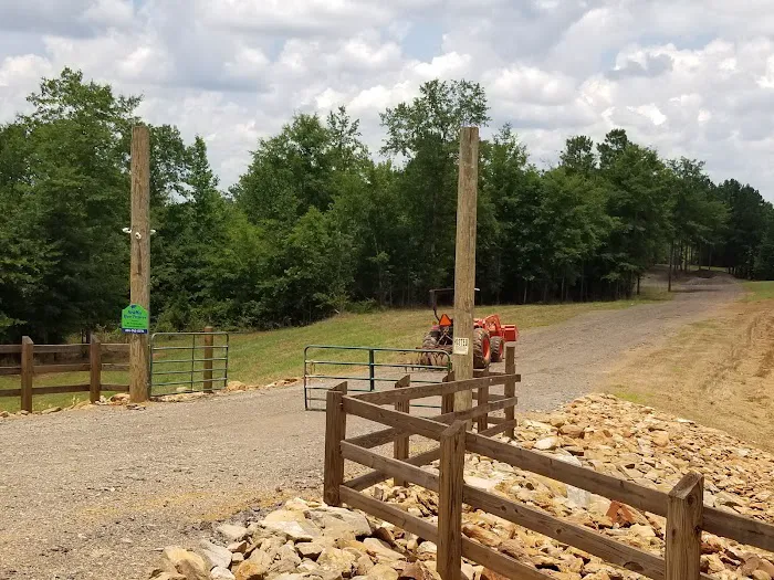 Newmor River Preserve RV Park & Cabin Rental Picture 6