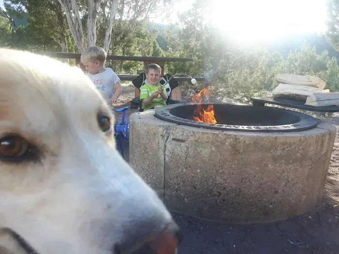 Cedar Springs Campground Picture 9