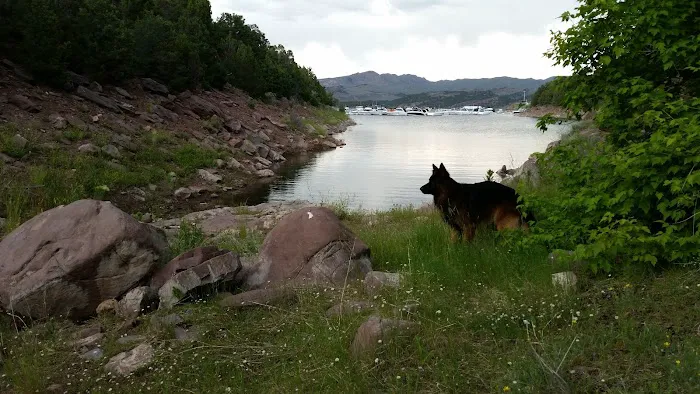 Cedar Springs Campground Picture 5