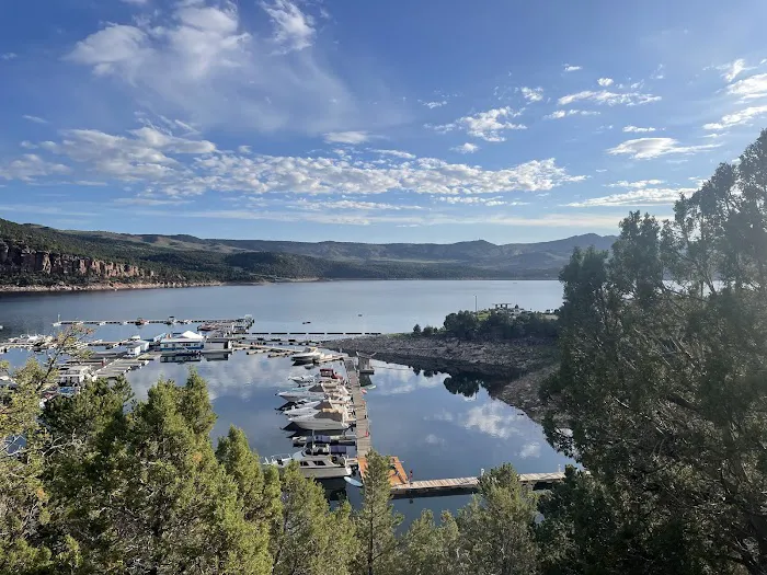 Cedar Springs Campground Picture 3