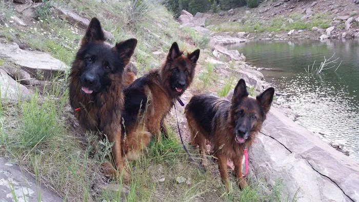 Cedar Springs Campground Picture 10