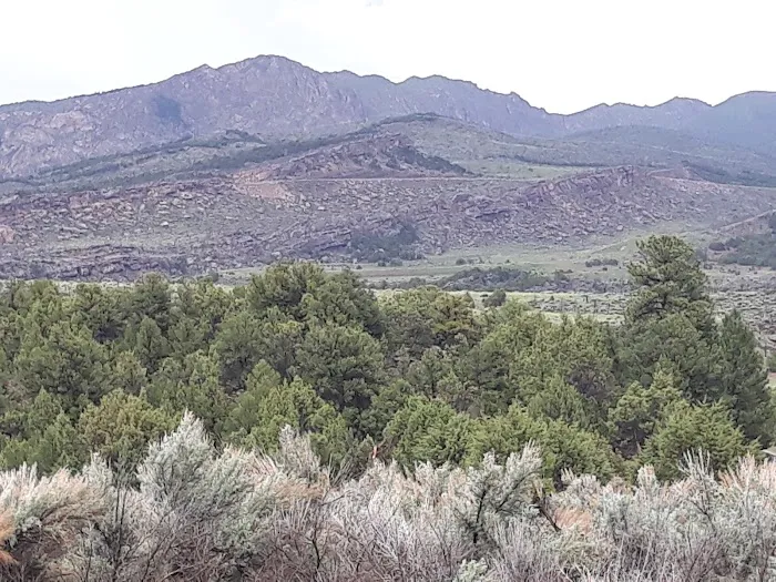 Mustang Ridge Campground Picture 5