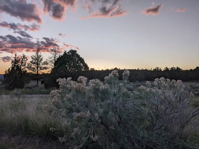 Arch Dam Group Campground Picture 6
