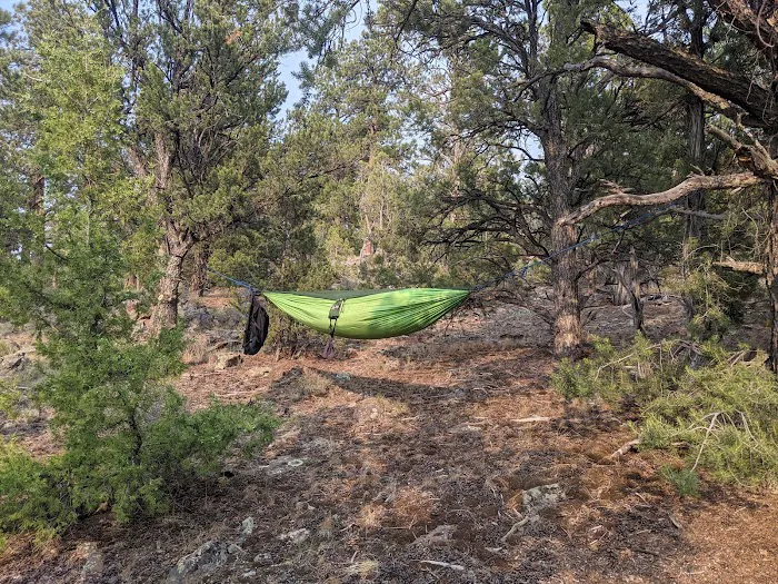 Arch Dam Group Campground Picture 9