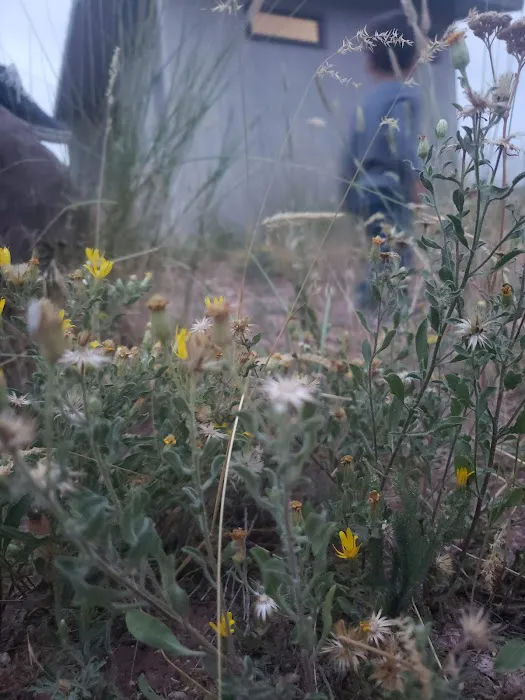 Arch Dam Group Campground Picture 8