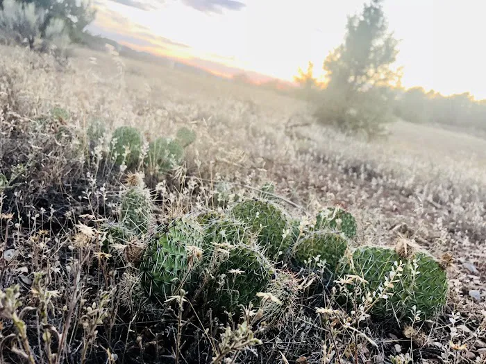 Arch Dam Group Campground Picture 10