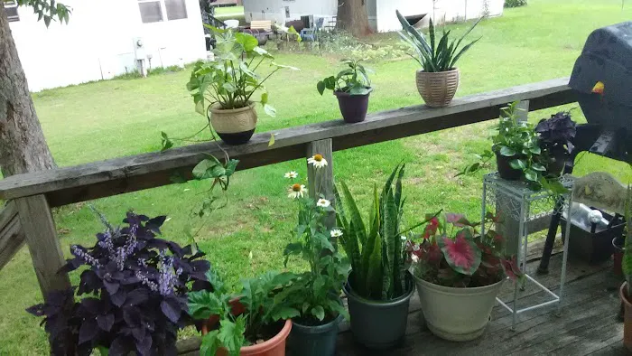 Ventura Park Picture 2