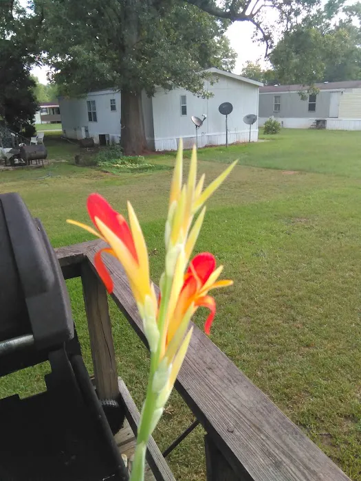 Ventura Park Picture 10