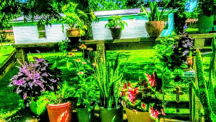 Ventura Park Picture 4