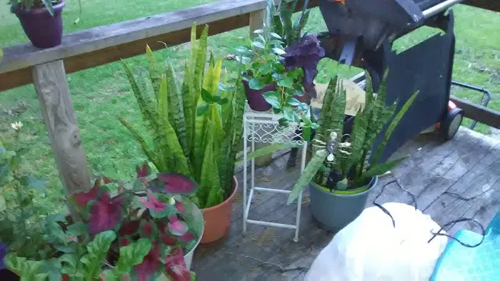 Ventura Park Picture 1