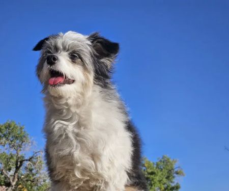 Swinging Bridge North Campground