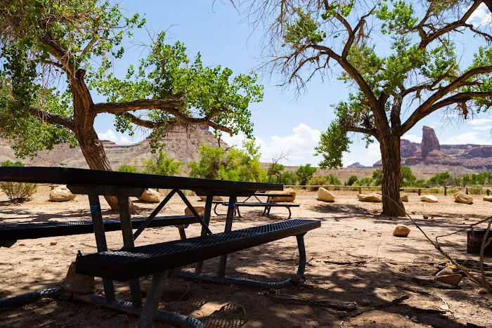 Swinging Bridge North Campground Picture 8