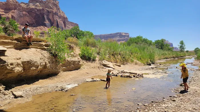 Swinging Bridge North Campground Picture 9