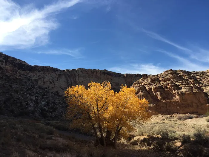 San Rafael Bridge Campground Picture 2
