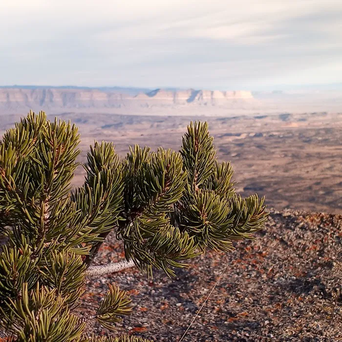 Cedar Mountain Campground Picture 9