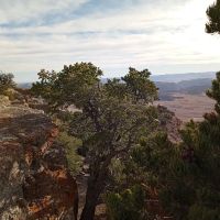 Cedar Mountain Campground ico