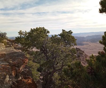 Cedar Mountain Campground