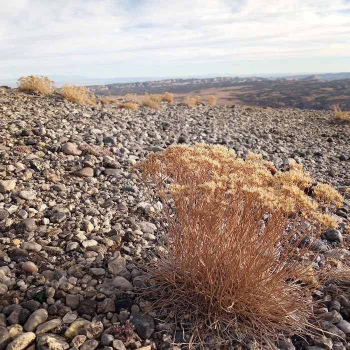 Cedar Mountain Campground Picture 3