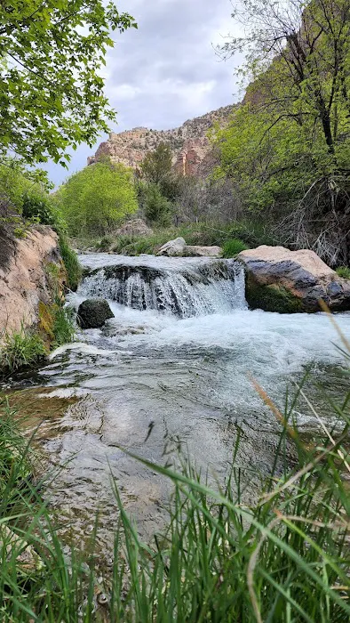 Jones Hole Campground Picture 7