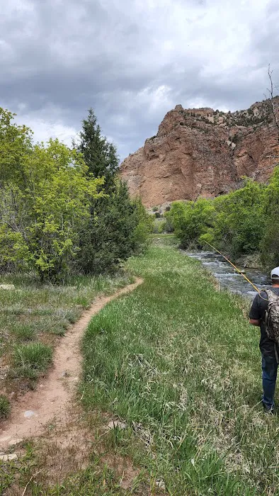 Jones Hole Campground Picture 2